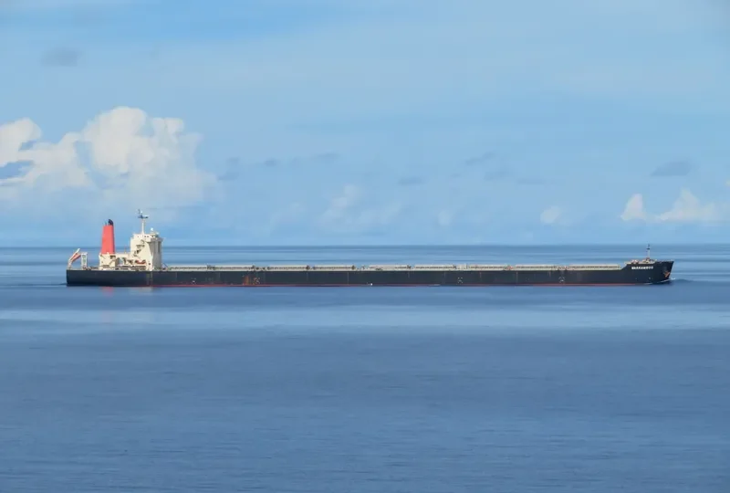 WARRAMBOO Bulk Carrier IMO 9621340 photo 3