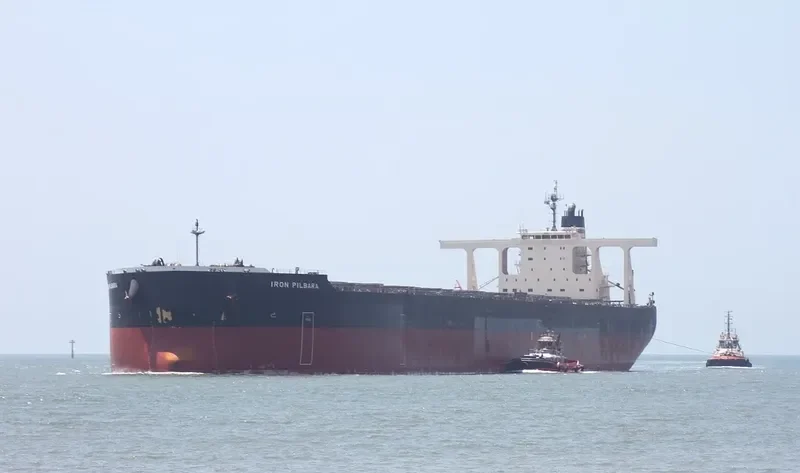 IRON PILBARA Bulk Carrier IMO 9621364