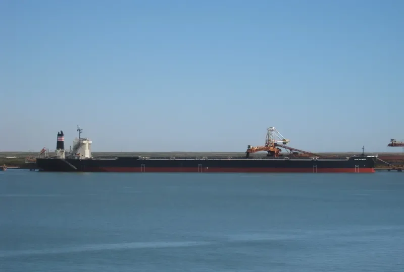 IRON PILBARA Bulk Carrier IMO 9621364 photo 3