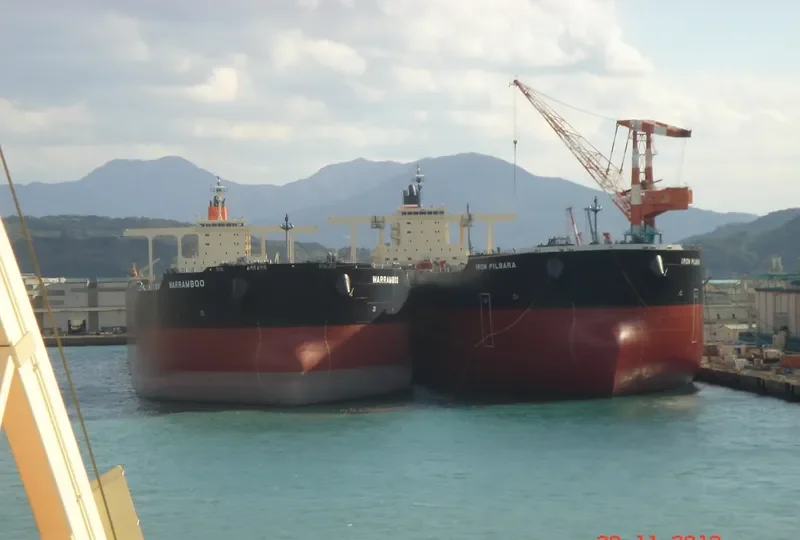 IRON PILBARA Bulk Carrier IMO 9621364 photo 5