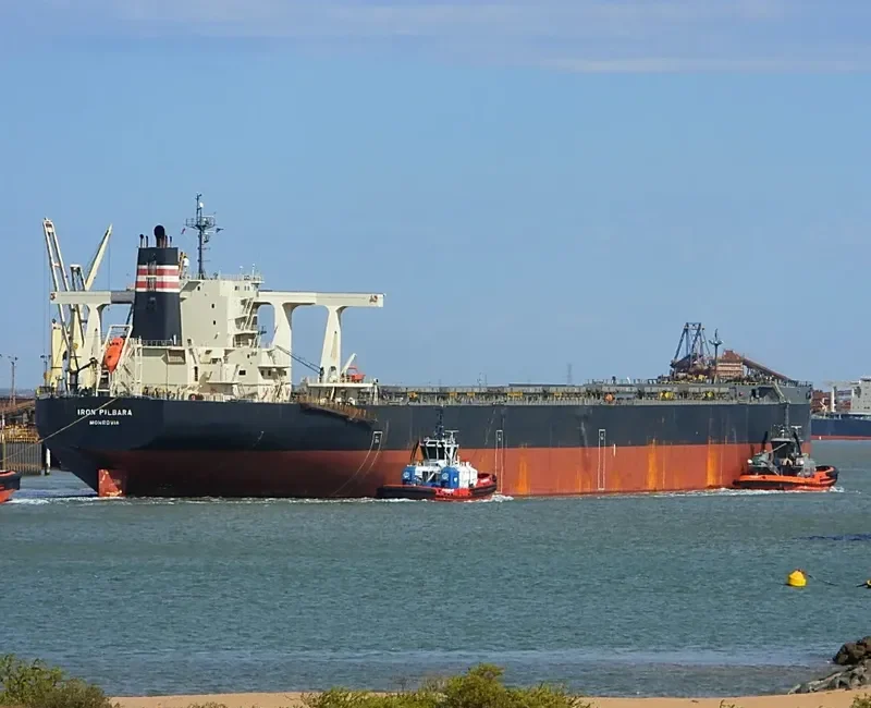 IRON PILBARA Bulk Carrier IMO 9621364 photo 7