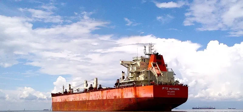 PAN MUTIARA Bulk Carrier IMO 9621390 photo 2