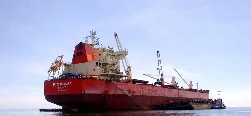 PAN MUTIARA Bulk Carrier IMO 9621390 photo 8