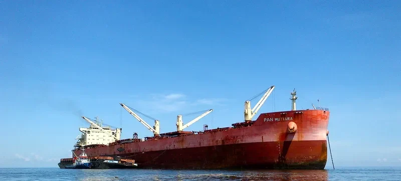 PAN MUTIARA Bulk Carrier IMO 9621390 photo 9