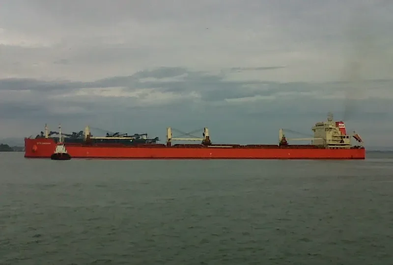 PAN ENERGEN Bulk Carrier IMO 9621405 photo 5