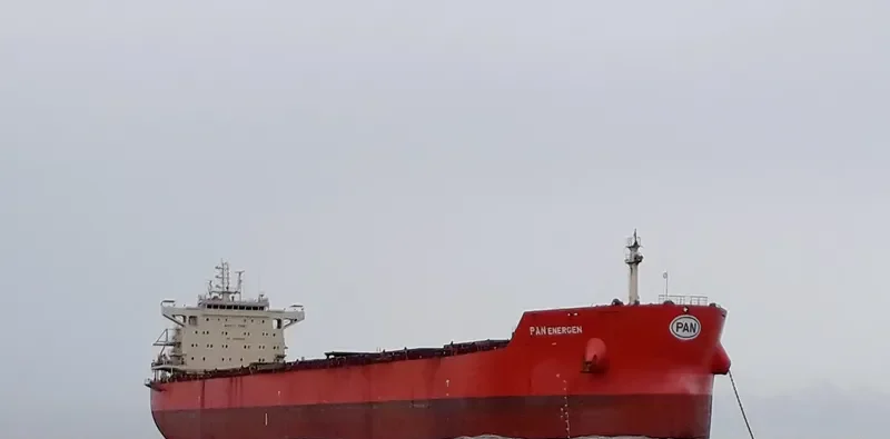 PAN ENERGEN Bulk Carrier IMO 9621405 photo 9