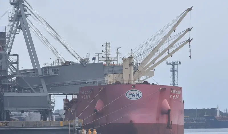 PAN CLOVER Bulk Carrier IMO 9621417 photo 6