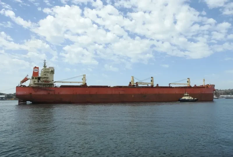 PAN CLOVER Bulk Carrier IMO 9621417 photo 8