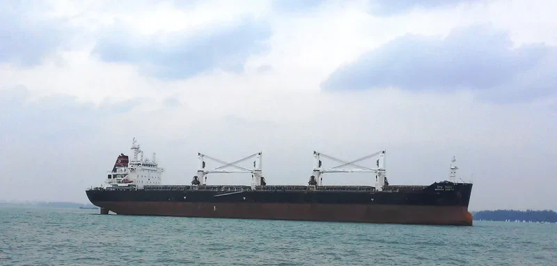 VISHVA VIJETA Bulk Carrier IMO 9621699