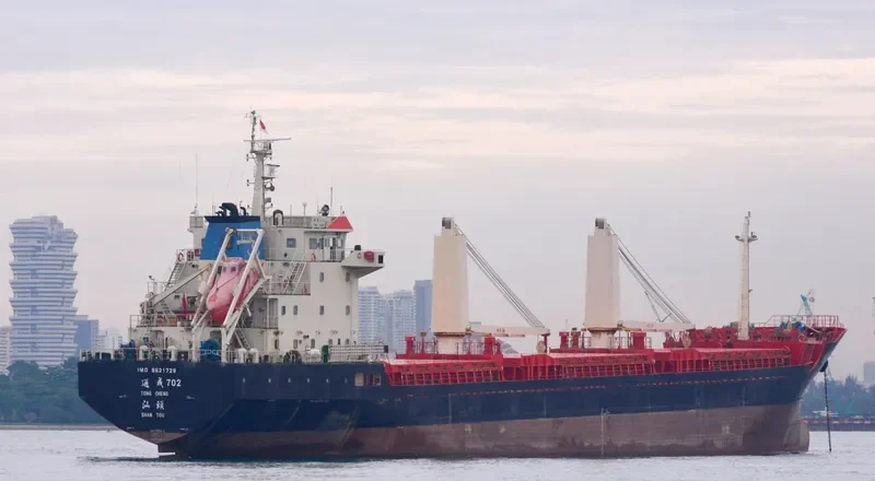 GAO XIN 15 Bulk Carrier IMO 9621728