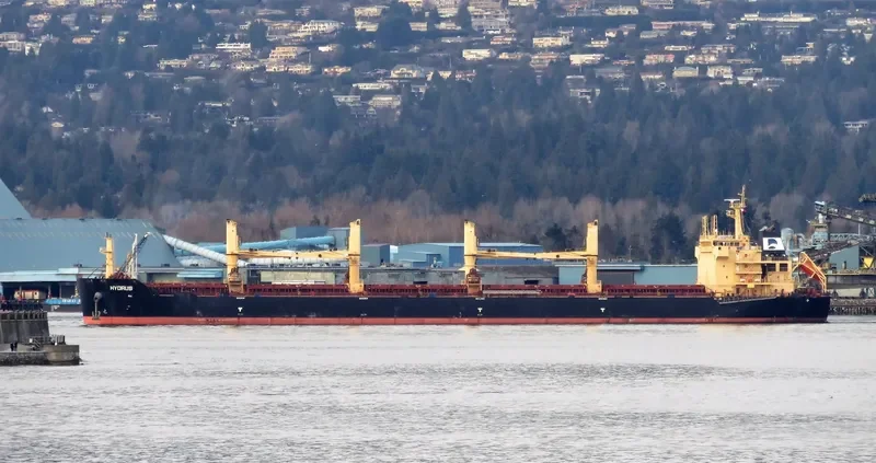 STAR HYDRUS Bulk Carrier IMO 9621778 photo 9