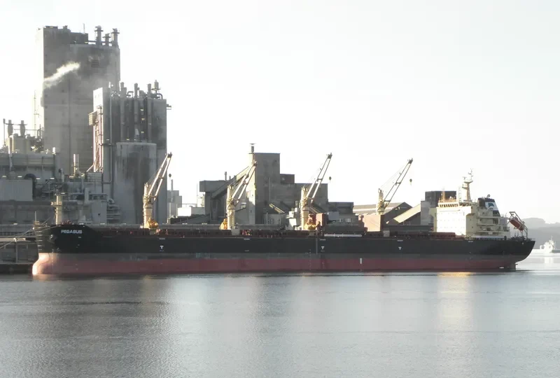 STAR PEGASUS Bulk Carrier IMO 9621780 photo 3