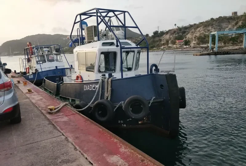 DIADEM General Cargo IMO 9621833 photo 6