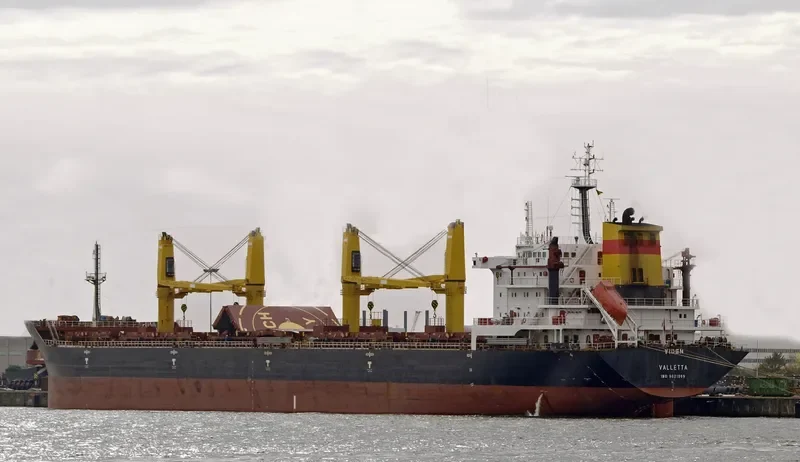 VIDEN Bulk Carrier IMO 9621869