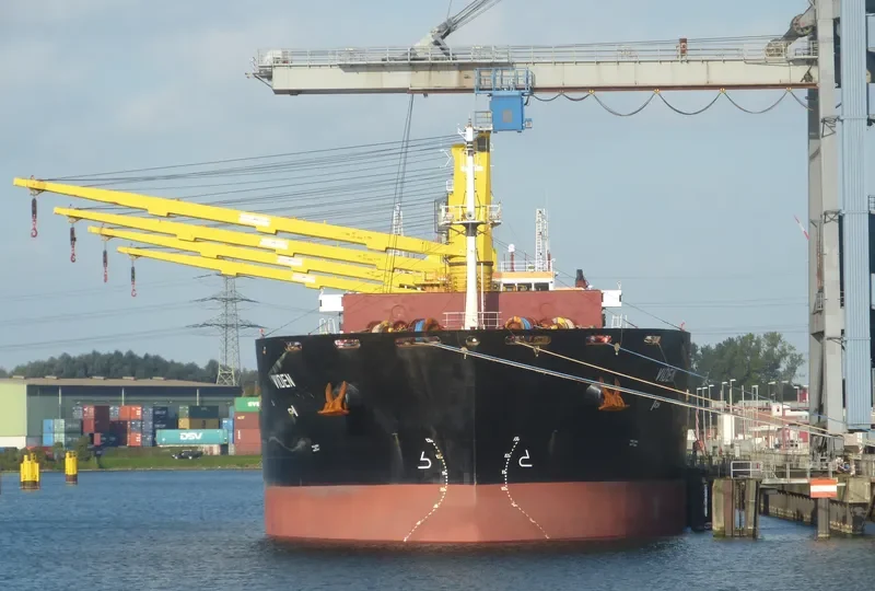 VIDEN Bulk Carrier IMO 9621869 photo 2