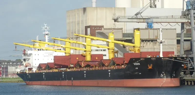 VIDEN Bulk Carrier IMO 9621869 photo 3
