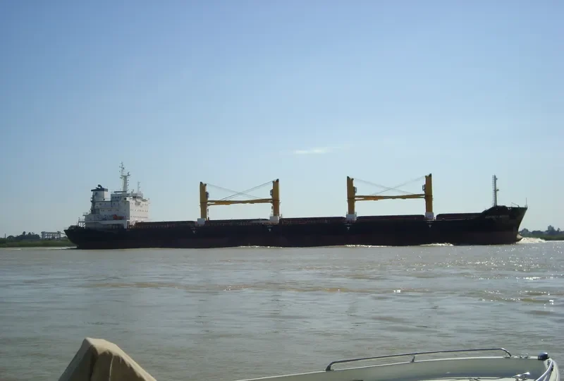 VIDEN Bulk Carrier IMO 9621869 photo 4