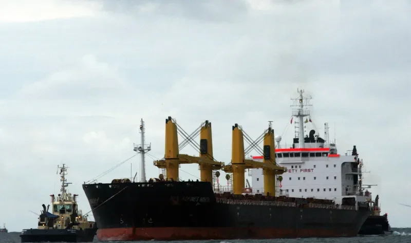 VIDEN Bulk Carrier IMO 9621869 photo 5