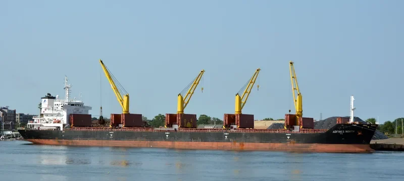 VIDEN Bulk Carrier IMO 9621869 photo 6