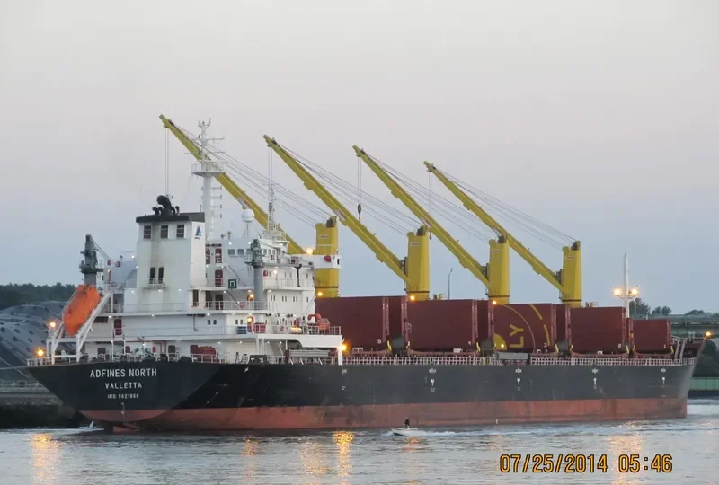 VIDEN Bulk Carrier IMO 9621869 photo 7