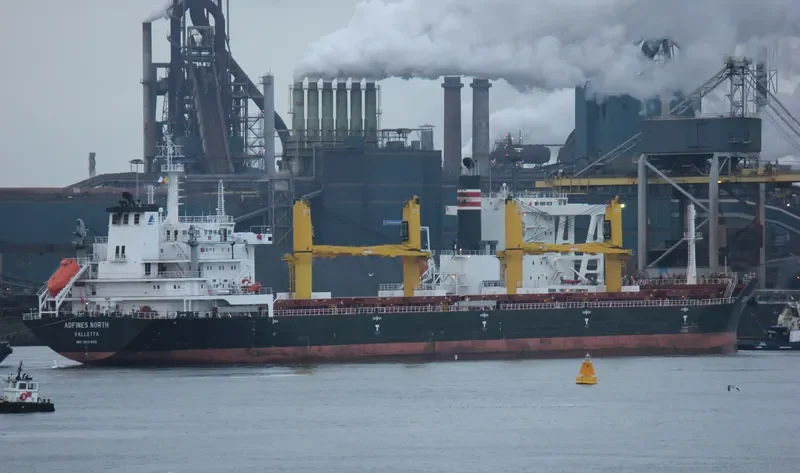 VIDEN Bulk Carrier IMO 9621869 photo 8