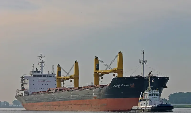 VIDEN Bulk Carrier IMO 9621869 photo 9