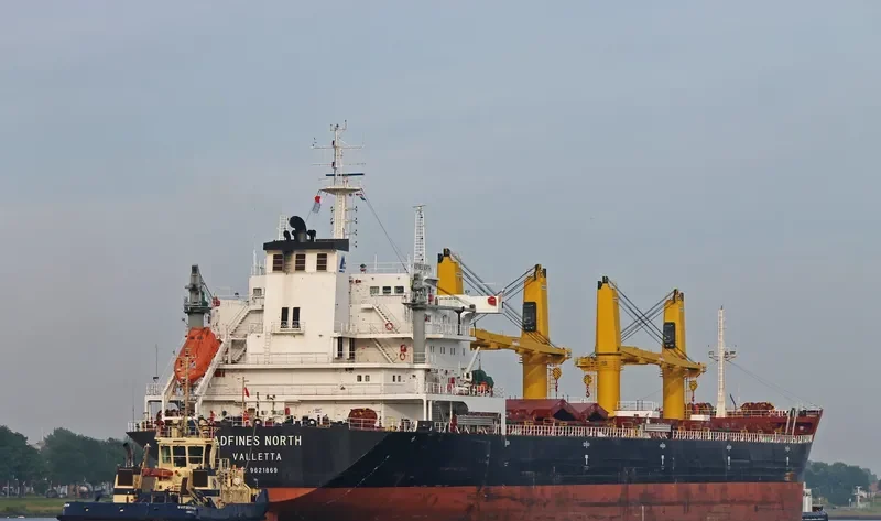 VIDEN Bulk Carrier IMO 9621869 photo 10