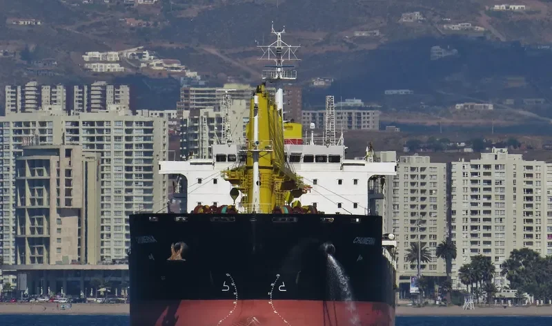 CHUMERNA Bulk Carrier IMO 9621871 photo 2