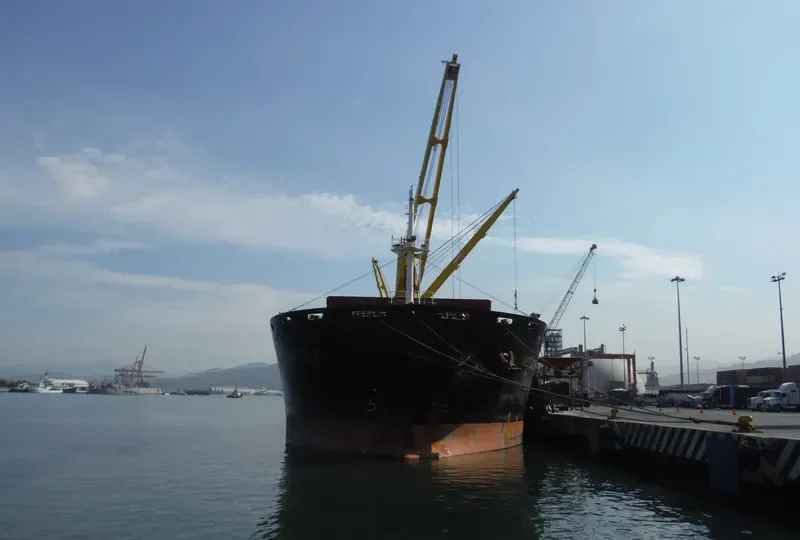 CHUMERNA Bulk Carrier IMO 9621871 photo 6