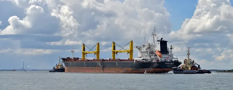 CHUMERNA Bulk Carrier IMO 9621871 photo 8