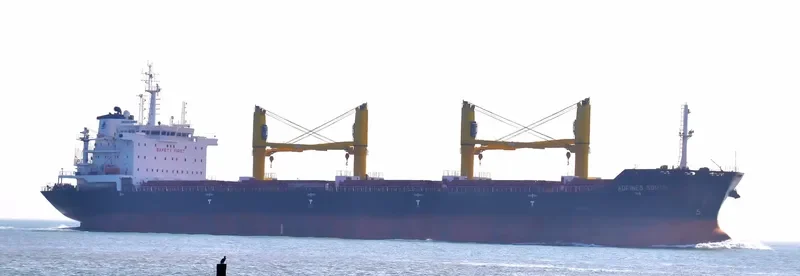 CHUMERNA Bulk Carrier IMO 9621871 photo 9