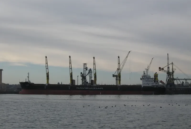 VESLETS Bulk Carrier IMO 9621883