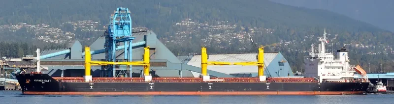 VESLETS Bulk Carrier IMO 9621883 photo 3
