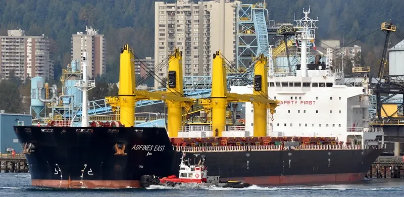 VESLETS Bulk Carrier IMO 9621883 photo 4