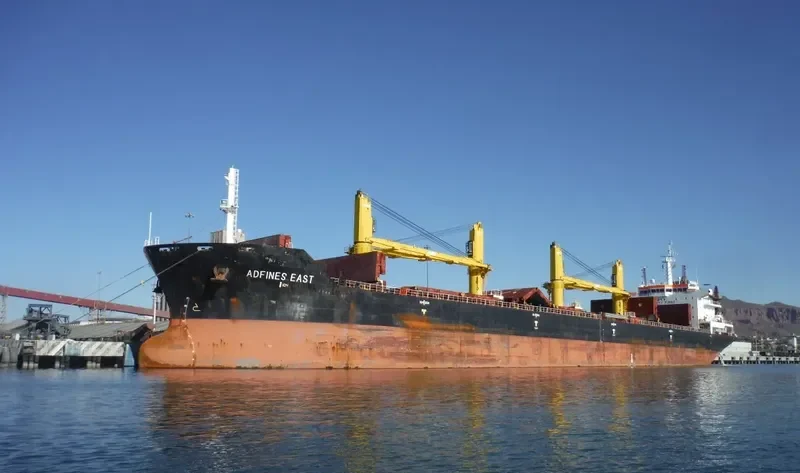 VESLETS Bulk Carrier IMO 9621883 photo 9