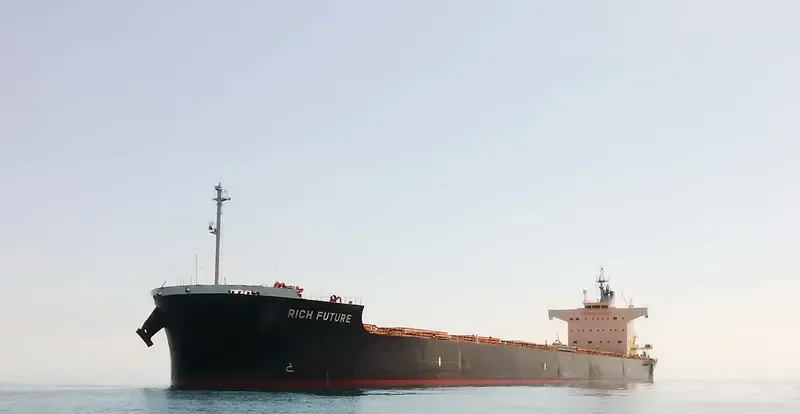 BISON Bulk Carrier IMO 9622423
