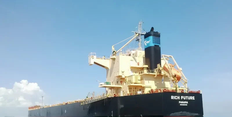 BISON Bulk Carrier IMO 9622423 photo 2