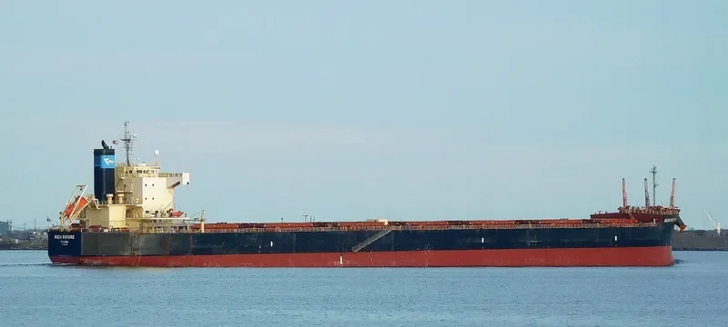 BISON Bulk Carrier IMO 9622423 photo 3