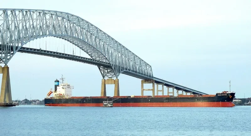 BISON Bulk Carrier IMO 9622423 photo 4