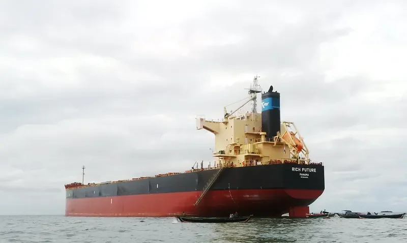 BISON Bulk Carrier IMO 9622423 photo 5