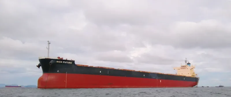 BISON Bulk Carrier IMO 9622423 photo 6