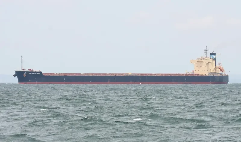 BISON Bulk Carrier IMO 9622423 photo 8