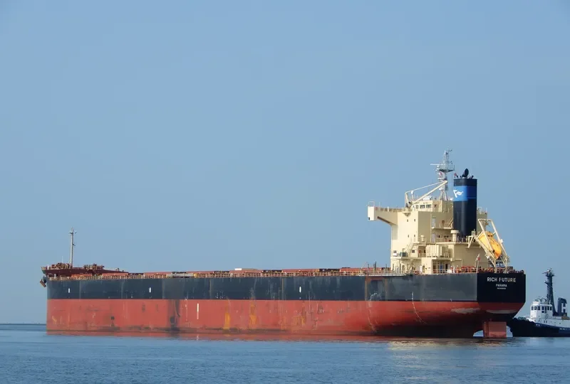 BISON Bulk Carrier IMO 9622423 photo 10