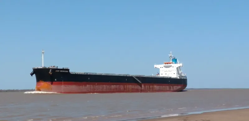 AOM GEORGINA Bulk Carrier IMO 9622552 photo 2