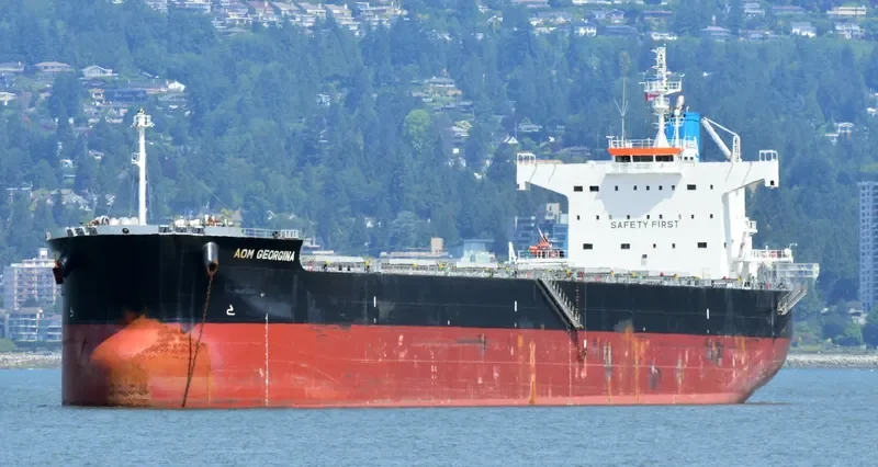 AOM GEORGINA Bulk Carrier IMO 9622552 photo 3