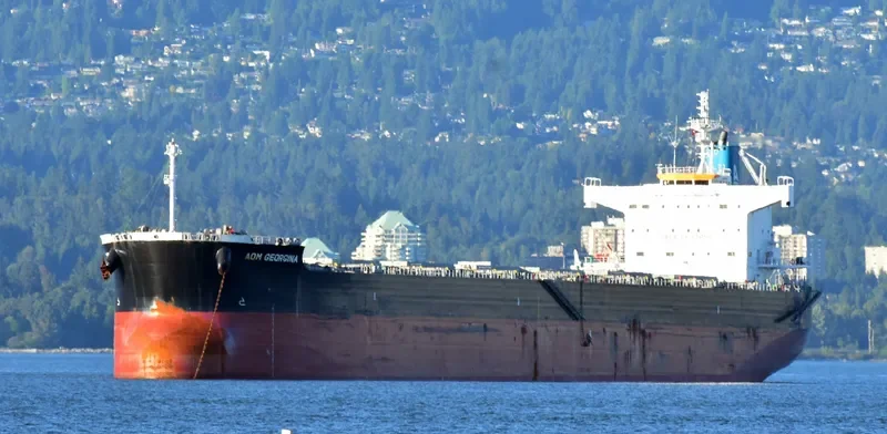 AOM GEORGINA Bulk Carrier IMO 9622552 photo 4