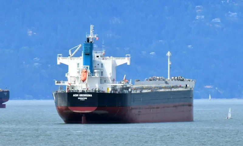 AOM GEORGINA Bulk Carrier IMO 9622552 photo 5