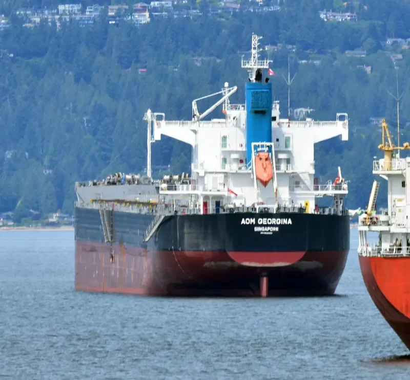 AOM GEORGINA Bulk Carrier IMO 9622552 photo 6