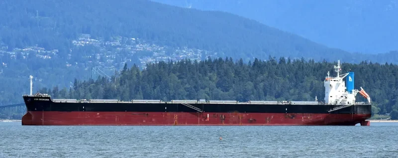 AOM GEORGINA Bulk Carrier IMO 9622552 photo 7