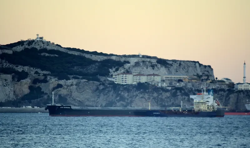 AOM GEORGINA Bulk Carrier IMO 9622552 photo 8